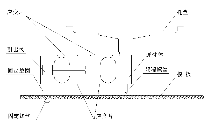 �������z�y����_