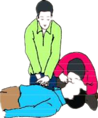 心肺復蘇模擬操作 心肺復蘇模擬操作